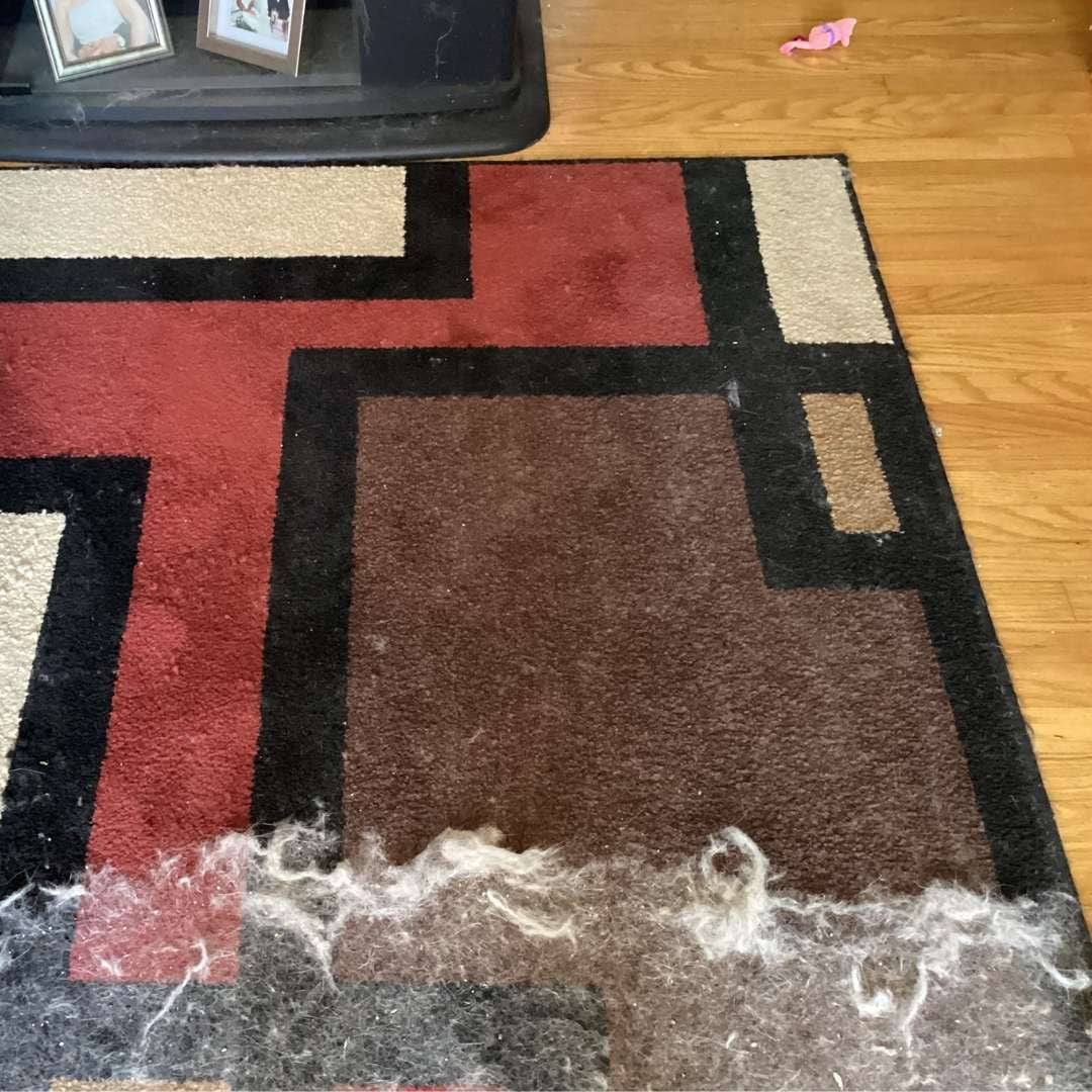 Alfombra con pelo de mascota acumulado
