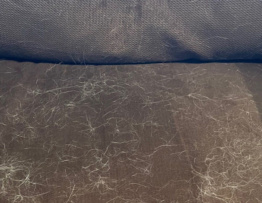 Sofá con pelo de mascota, antes de usar Peludoff