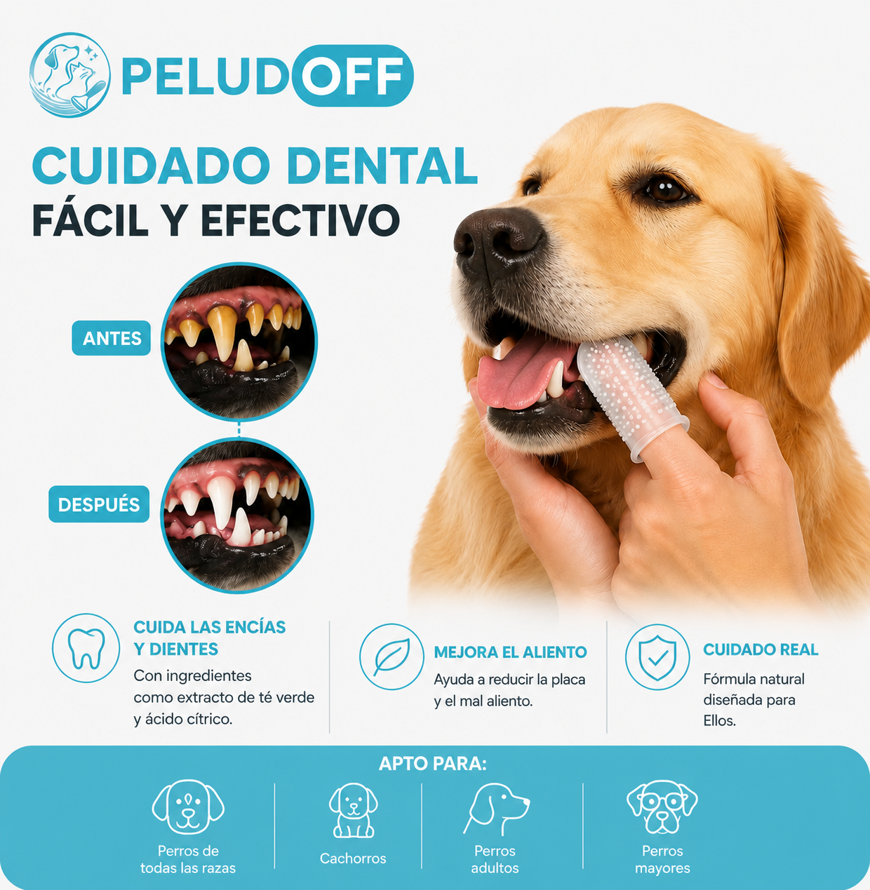 Peludoff Dedal Dental, antes y despues